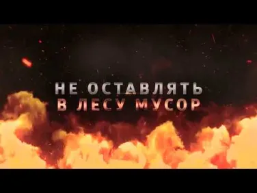 Меры безопасности и правила поведения в лесу