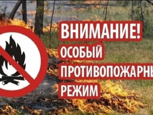 Об установлении на территории Нижегородской области особого противопожарного режима