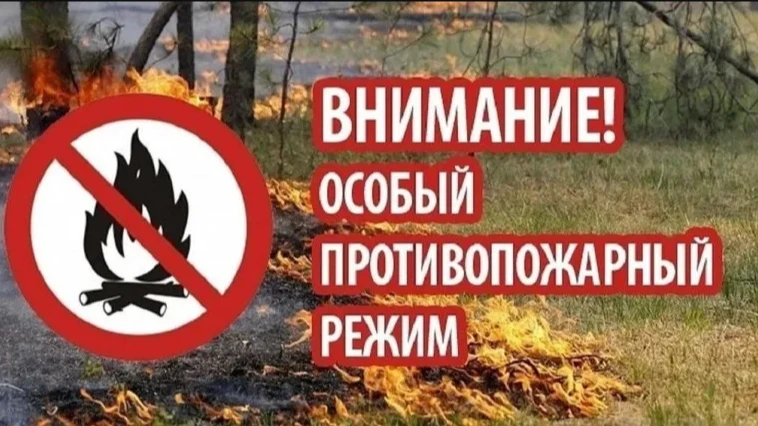 Об установлении на территории Нижегородской области особого противопожарного режима