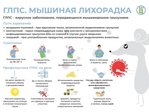 Меры профилактики геморрагической лихорадки с почечным синдромом