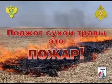 Пропаганда пожарной безопасности. Береги лес!